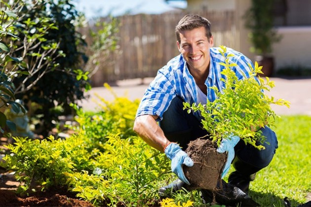 Top 7 Health Benefits of Gardening You Must Know | LivingHours