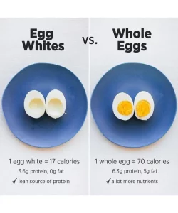 difference between egg whites and whole egg